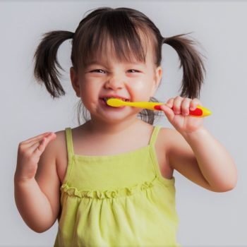 North View Dental Brush Teeth North Ogden Utah
