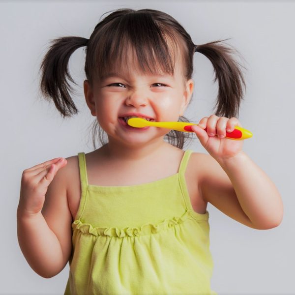 North View Dental Brush Teeth North Ogden Utah