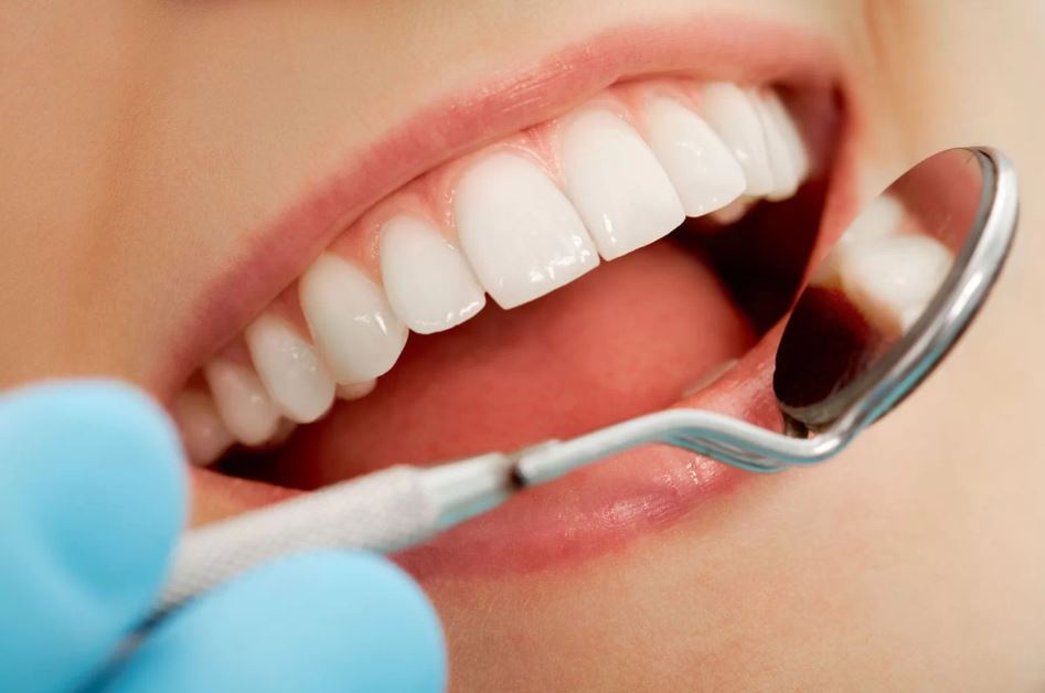 The Anatomy of the Tooth