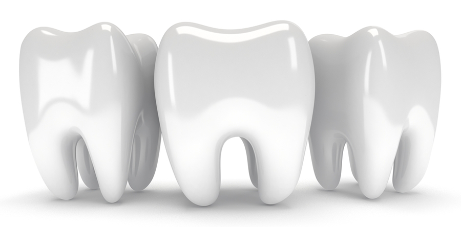 The Anatomy Of The Tooth The Anatomy of the Tooth