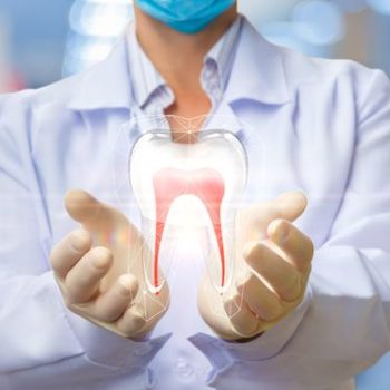 North View Dental Root Canal North Ogden Utah