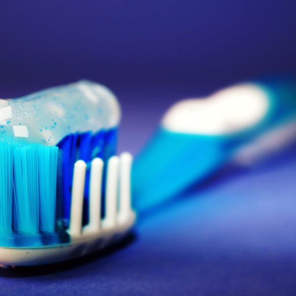 North View Dental Toothbrush North Ogden Utah