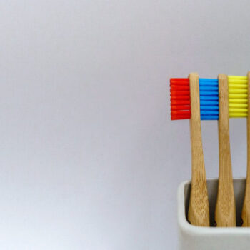 North View Dental Tooth Brushing North Ogden Utah