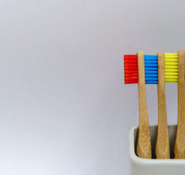 North View Dental Tooth Brushing North Ogden Utah