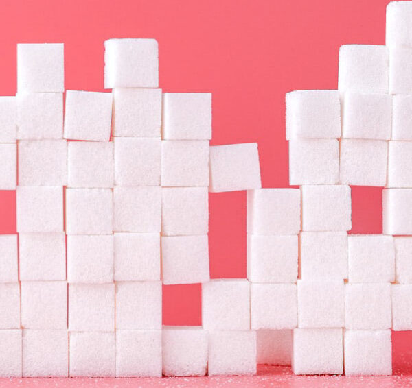 North View Dental Sugar North Ogden Utah