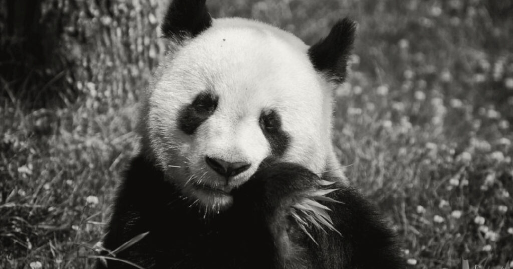 The Benefits of Chewing Food Slowly